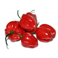 Peper Habanero Red ( Хабанеро красный)