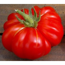 Итальянский Ребристый ( Costoluto Fiorentino tomato)